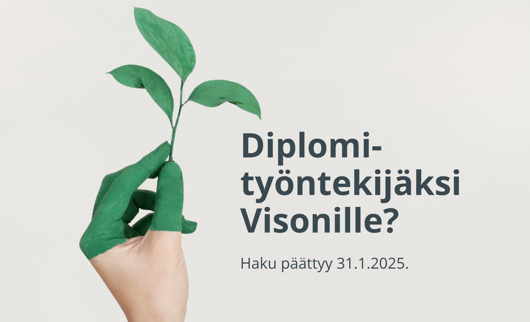 Dilomityontekijaksi_Visonille